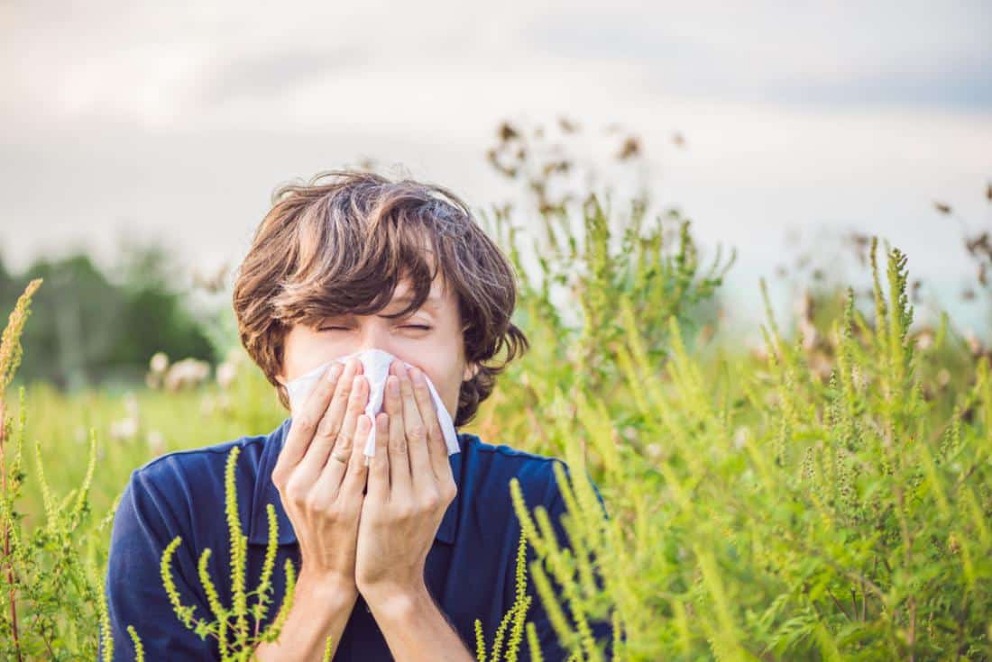 Elizaveta Galitckaia – shutterstock – les effets des allergies sur notre organisme Comprendre les allergies et leurs effets sur notre santé