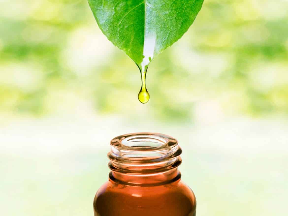 Les huiles essentielles : tout savoir sur cette médecine naturelle